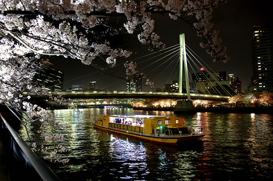 大阪 お花見