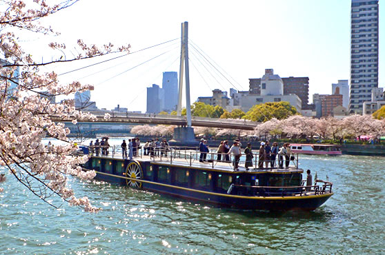 大阪 お花見